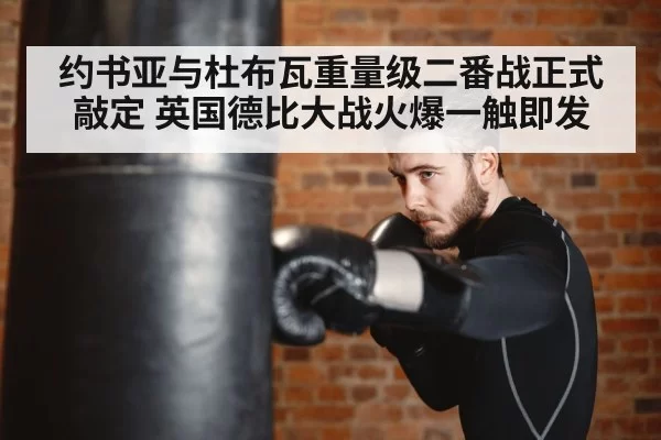 boxer training punching bag